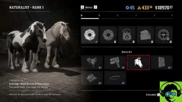 Red Dead Online all naturalistic items and upgrades