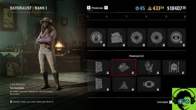 Red Dead Online all naturalistic items and upgrades