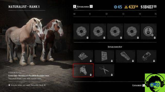 Red Dead Online all naturalistic items and upgrades