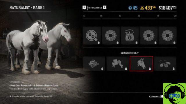 Red Dead Online all naturalistic items and upgrades