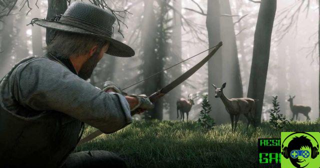 Guía RED Redemption 2 Cómo Conseguir Pieles Perfectas