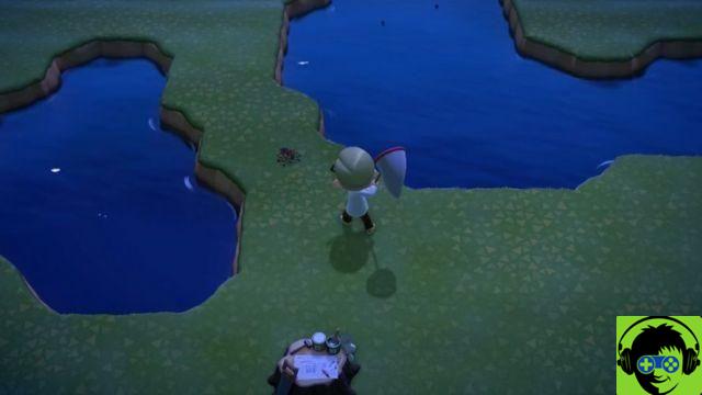 Animal Crossing: New Horizons - Come creare un'isola delle tarantole e guadagnare diverse centinaia di migliaia di campane