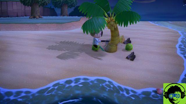 Animal Crossing: New Horizons - Come creare un'isola delle tarantole e guadagnare diverse centinaia di migliaia di campane