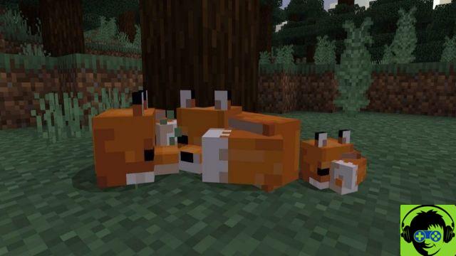 Minecraft - How to tame foxes