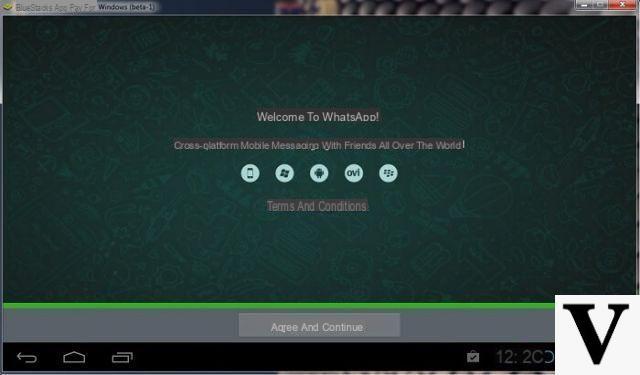 Come Fare Chiamate o Videochiamate Whatsapp da PC e Mac?   –