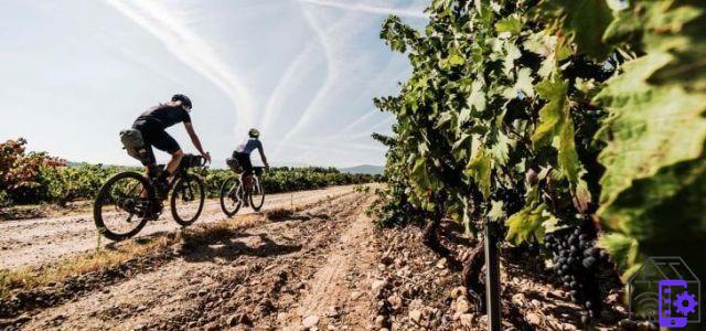 Bicicletas eléctricas: qué son, cómo funcionan y cuál elegir