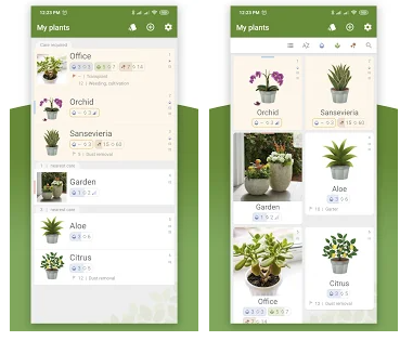 Best plant care apps