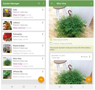 Best plant care apps