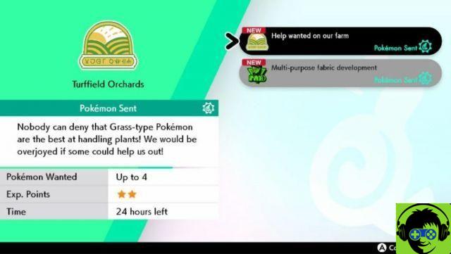 Tips and tricks for Poké Service in Pokémon Sword and Shield