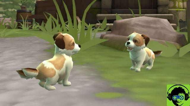 ¡El tutorial de Puppy-Dog Tales Side Quest ya está aquí!