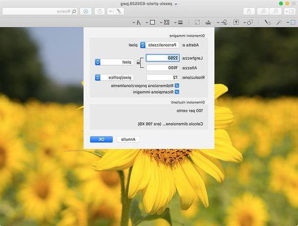 Come ridimensionare una foto con Mac