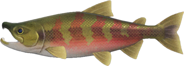 The fish not to be missed in September in Animal Crossing: New Horizons