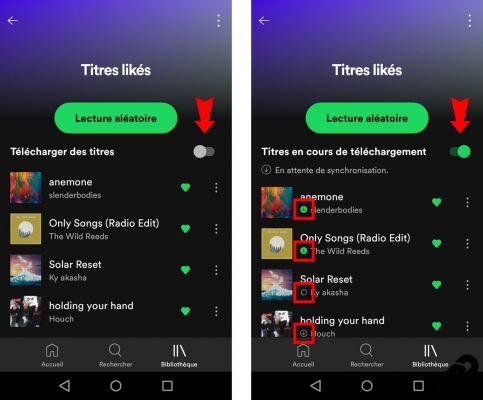 ¿Cómo usar el modo sin conexión en Spotify?