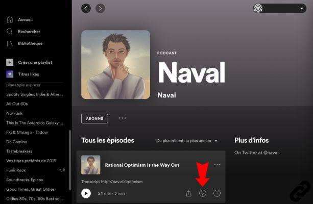 ¿Cómo usar el modo sin conexión en Spotify?