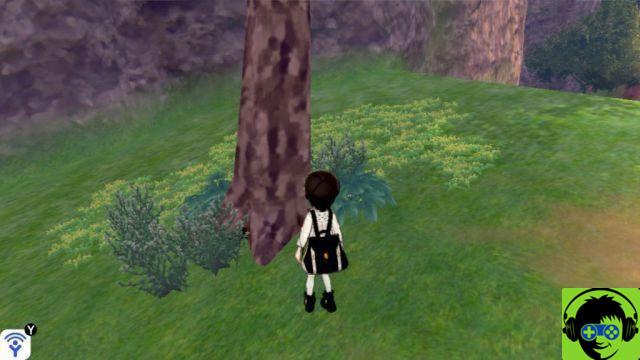 Pokémon Sword and Shield - Où trouver des objets utiles pour la compétition