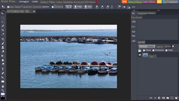 Programmi per modificare foto gratis