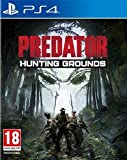 Revisión de Predator Hunting Grounds: lo importante es ser bella por dentro