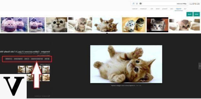 Google images : comment restaurer le bouton 