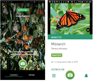 Las mejores apps para identificar animales