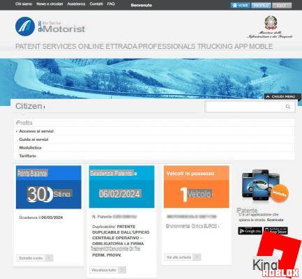 Verifique os pontos da carteira de habilitação online