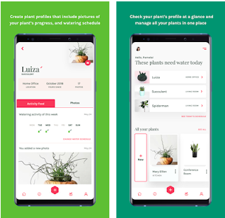 Les meilleures applications de soins aux plantes