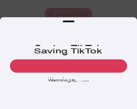 Eliminar el logotipo de TikTok: cómo eliminarlo de un video