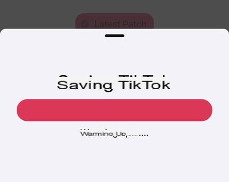 Remove TikTok logo: how to remove it from a video