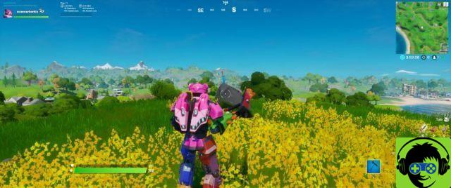 Dove cercare la spada di Skye in una pietra trovata in Fortnite Capitolo 2 Stagione 2 Highlights