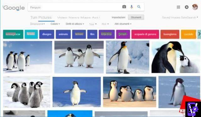 Google Images: the tricks to take advantage of its features