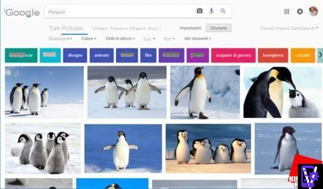 Imagens do Google: os truques para tirar proveito de seus recursos