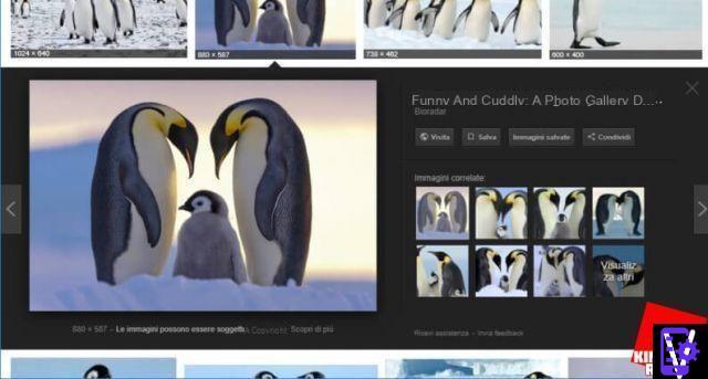 Google Images: the tricks to take advantage of its features