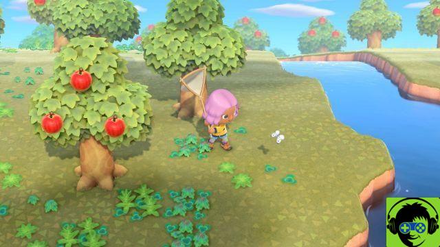 Animal Crossing: New Horizons - Guia de preços de insetos