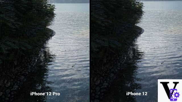 Revisão do IPhone 12 vs iPhone 12 PRO: qual comprar?