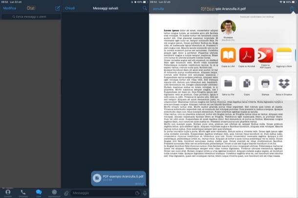 Come salvare PDF su iPad