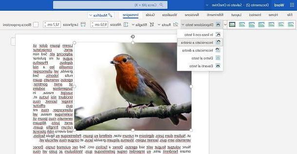 Come ancorare un’immagine in Word