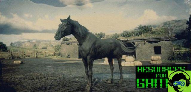 Red Dead Online | Guide des Meilleurs Chevaux et Selles