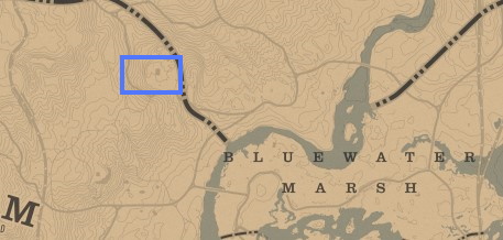 How to find a silver chain bracelet in Red Dead Redemption 2