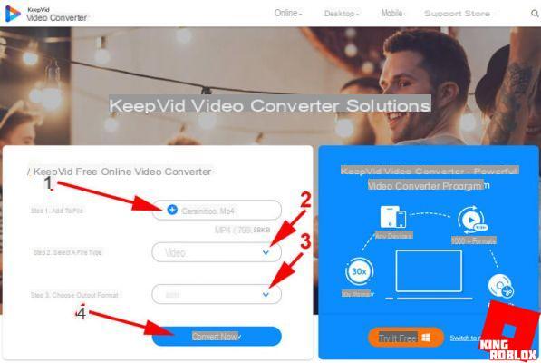 Convertissez une vidéo en ligne et via un programme avec KeepVid Video Converter