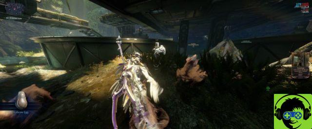 How to get a Kubrow Egg in Warframe