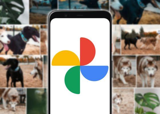Google Photos: How to Download All Your Photos (2021)