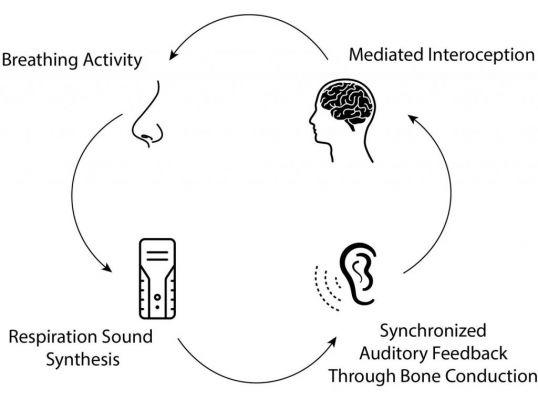 Psychoacoustics, or hearing the sounds that are not there
