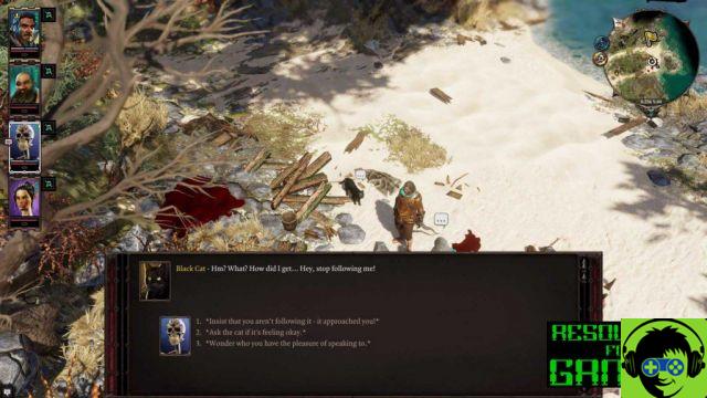 Divinity Original Sin 2 - Dicas para Iniciantes