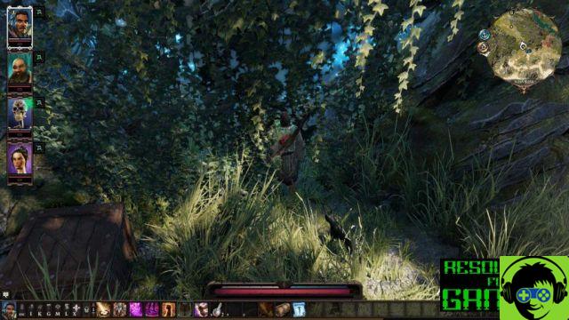 Divinity Original Sin 2 - Conseils Pour les Débutants