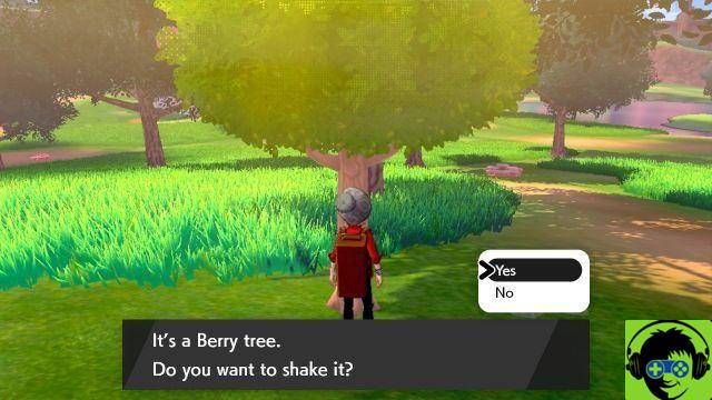 How to grow berries in Pokémon Sword and Shield