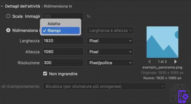 Flujo de trabajo con Adobe Bridge 2022, la vida simplificada