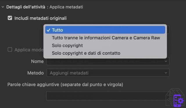 Fluxo de trabalho com o Adobe Bridge 2022, vida facilitada