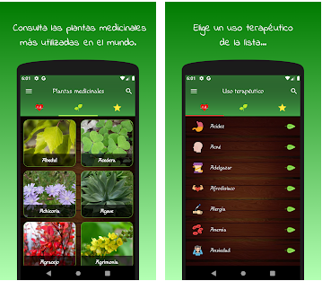 Les meilleures applications de plantes médicinales