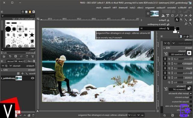 Remover pessoas ou objetos de fotos: aplicativos e programas