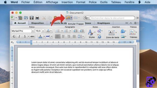 Essential keyboard shortcuts on macOS