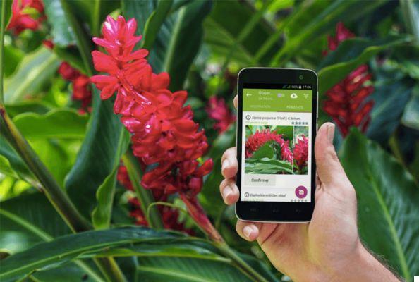7 apps for nature lovers